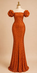 Elegant Sequin Mermaid Dress,